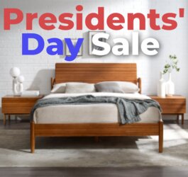 2021 Presidents' Day Sale